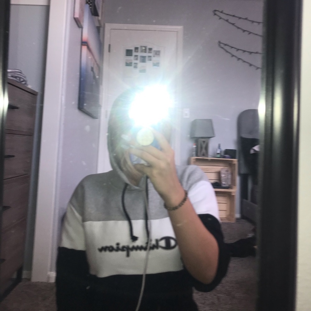 Champion cropped sweatshirt